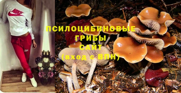 винт Арсеньев