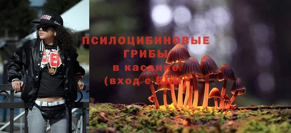 винт Арсеньев