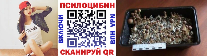Купить где  Белоярский  Псилоцибиновые грибы Psilocybe 